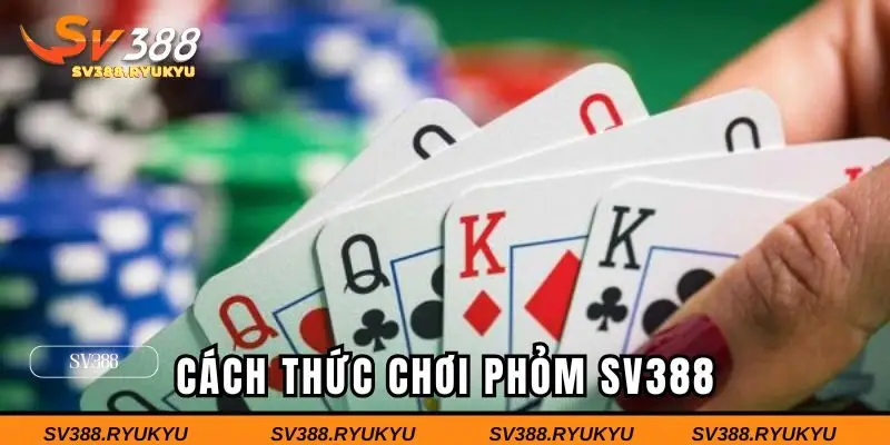 Từng bước tham gia chơi phỏm đơn giản nhất