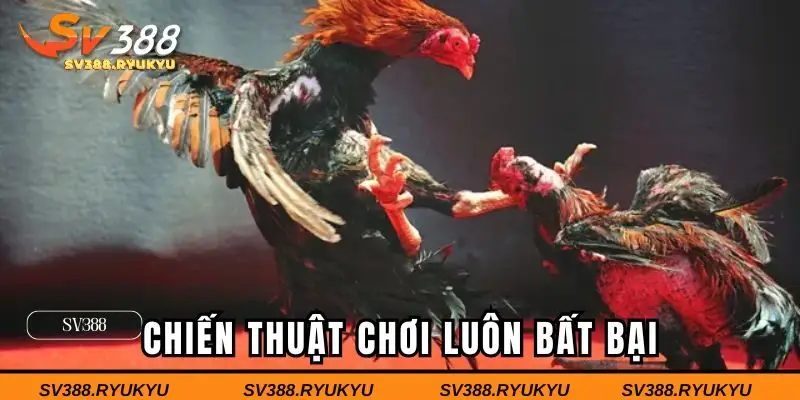 Chiến thuật chơi luôn bất bại